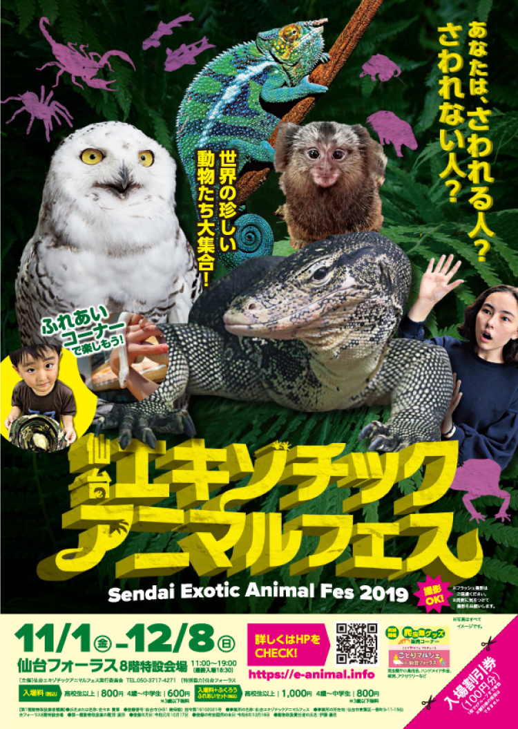 エキゾチックアニマルフェスのイメージ画像