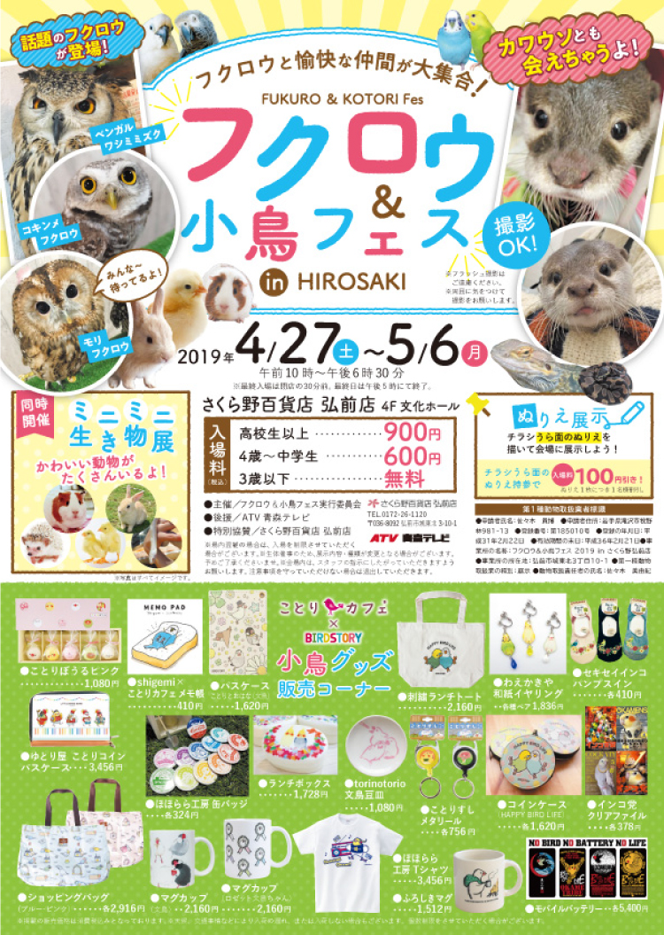 フクロウと小鳥フェスのイメージ画像