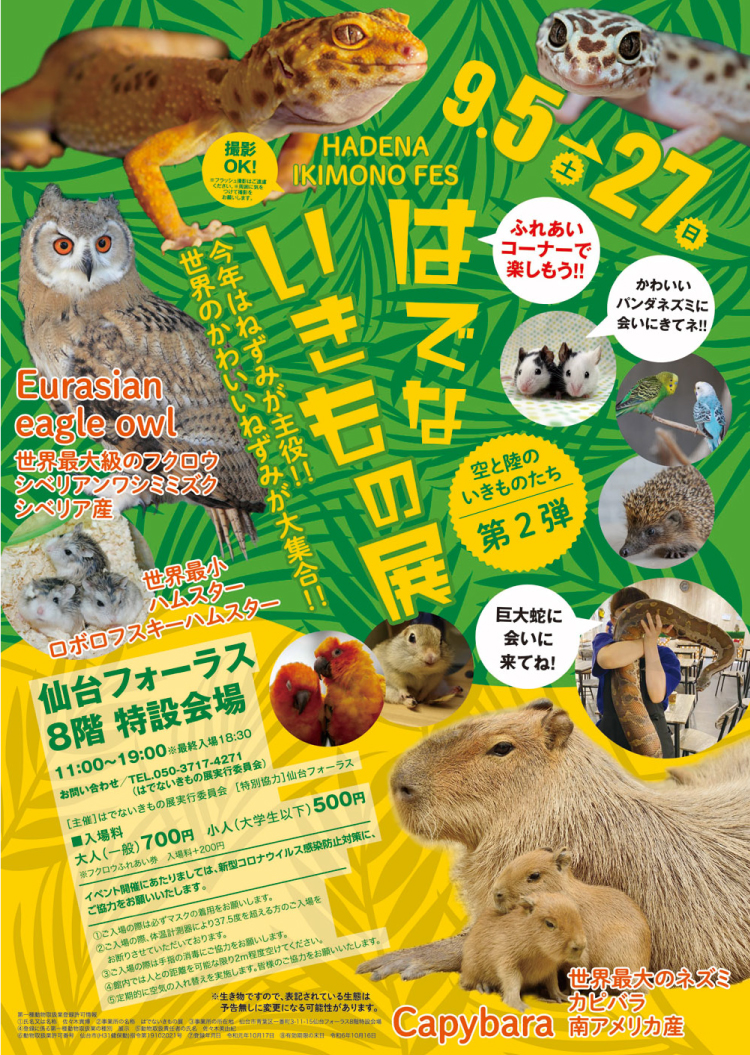 はでないきもの展 第2弾のイメージ画像