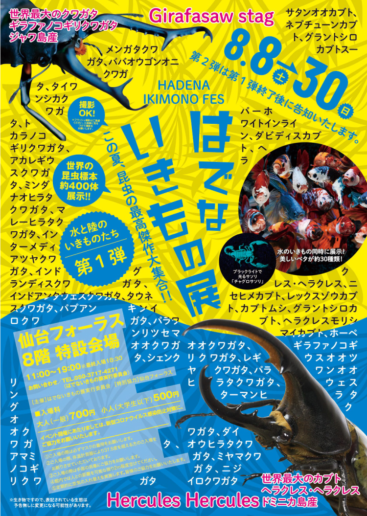 はでないきもの展 第1弾のイメージ画像