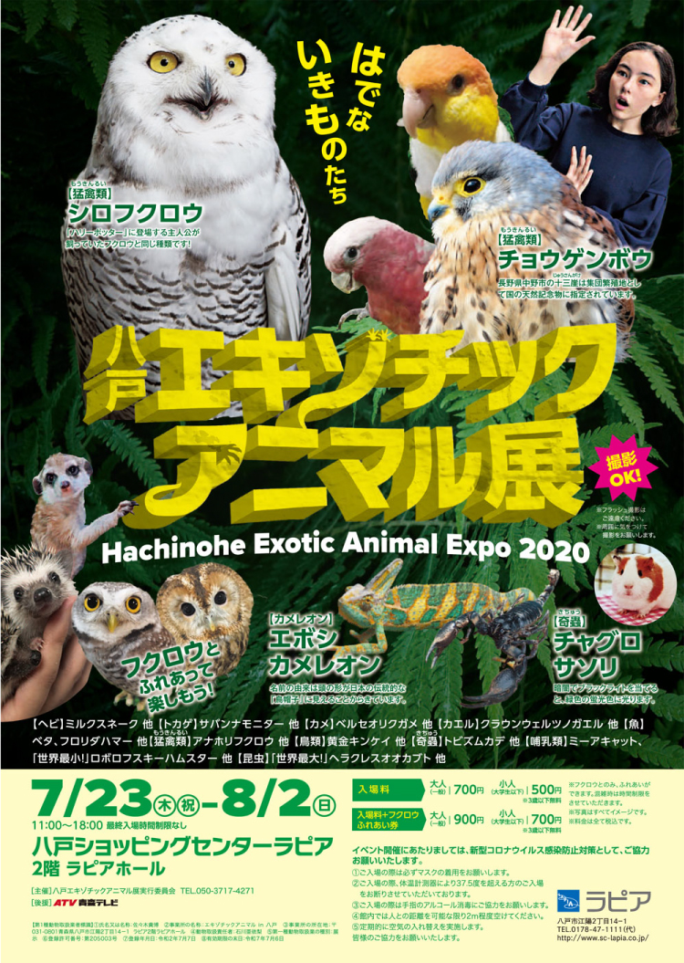 八戸エキゾチックアニマル展 のイメージ画像
