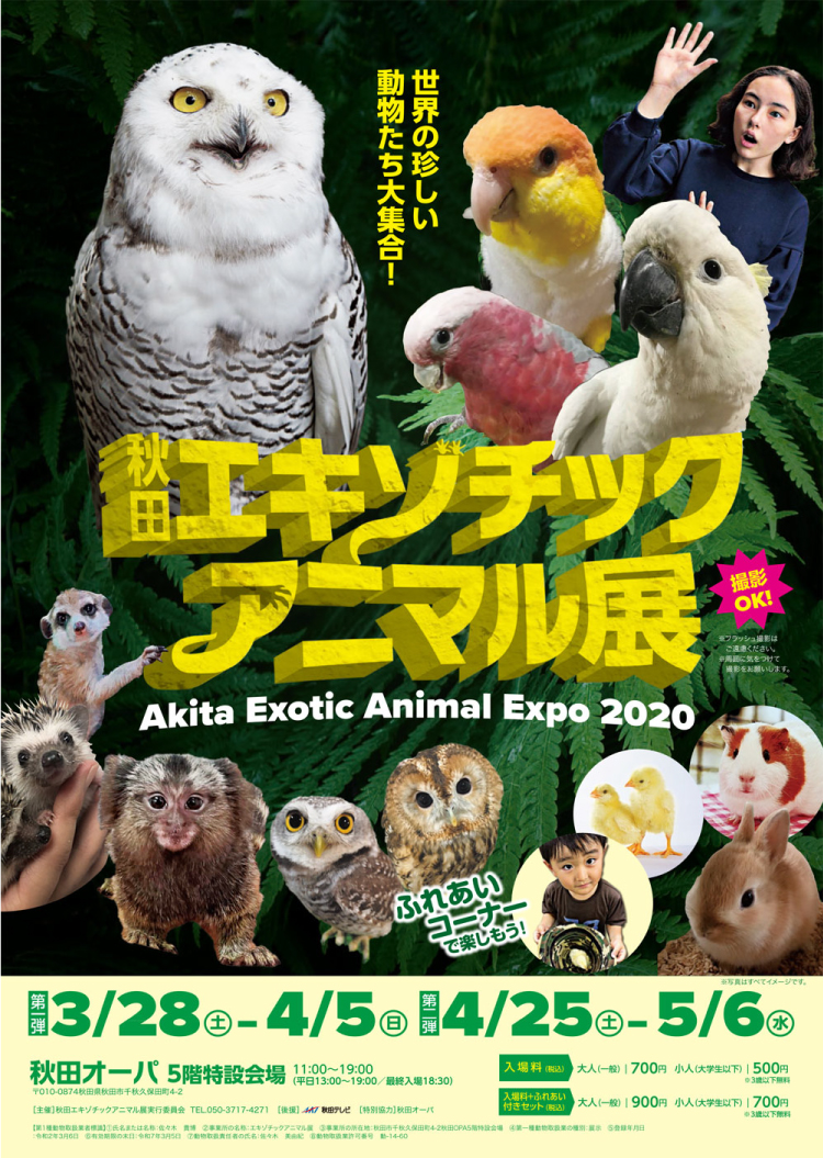 秋田エキゾチックアニマル展のイメージ画像